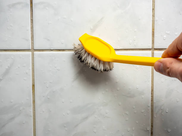 Best Toxic Mold Removal  in Cotter, AR