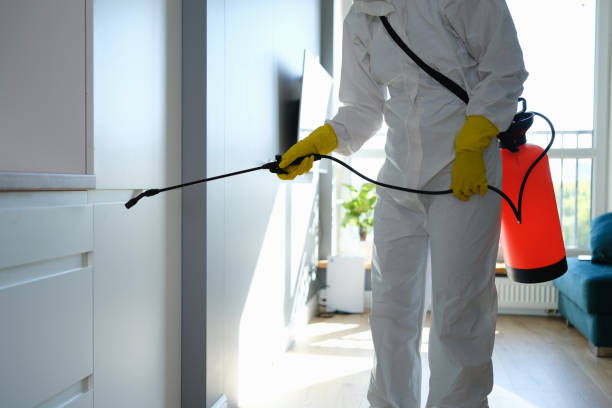 Best Emergency Mold Removal  in Cotter, AR