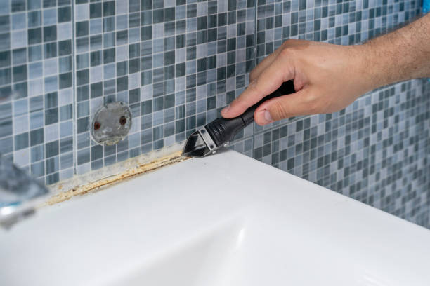 Best Mold Remediation  in Cotter, AR