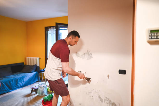 Best Commercial Mold Removal  in Cotter, AR